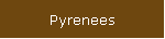 Pyrenees